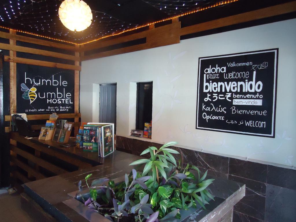 بلايا ديل كارمن Humble Bumble Hostel المظهر الخارجي الصورة