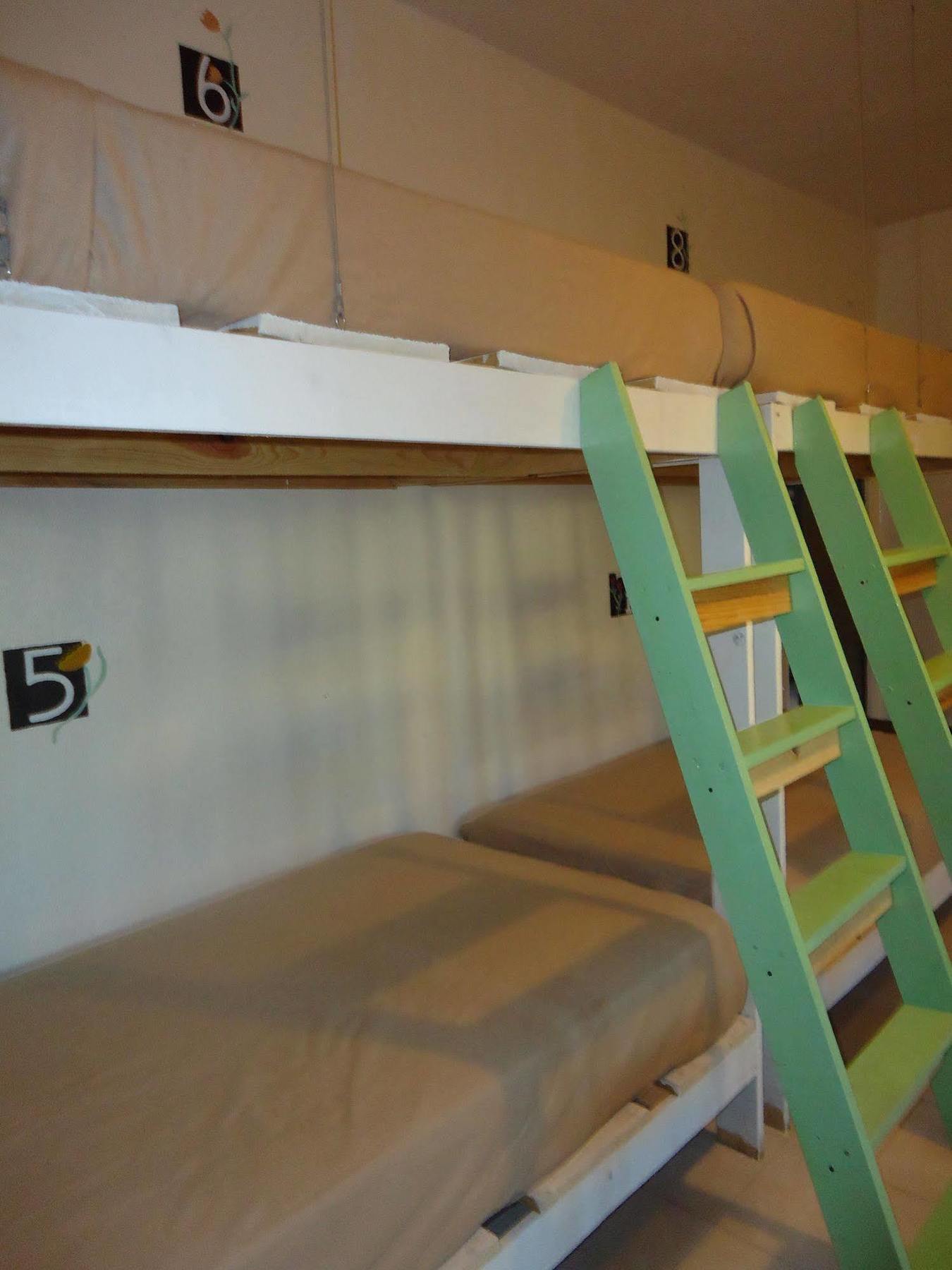 بلايا ديل كارمن Humble Bumble Hostel المظهر الخارجي الصورة