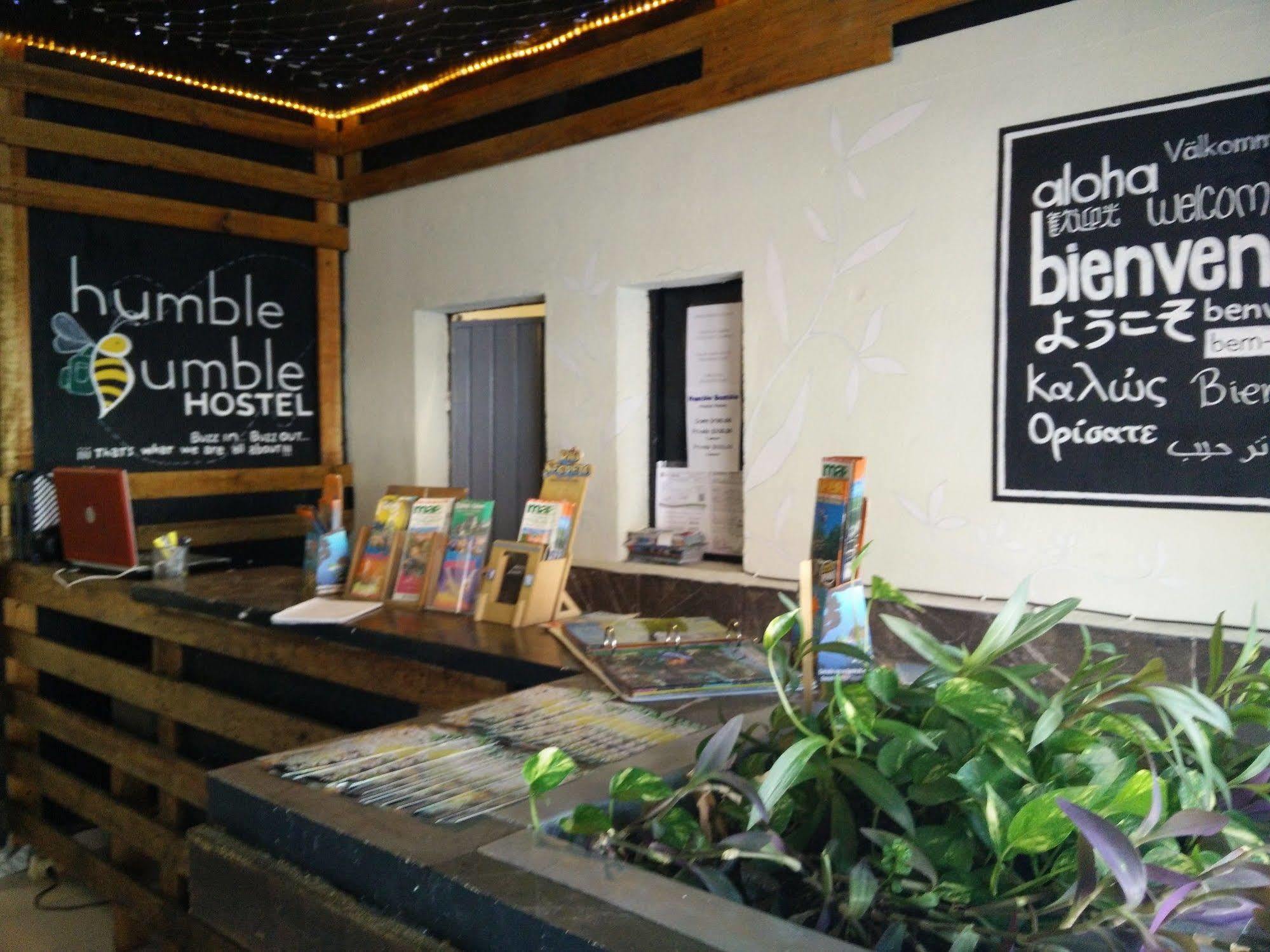 بلايا ديل كارمن Humble Bumble Hostel المظهر الخارجي الصورة