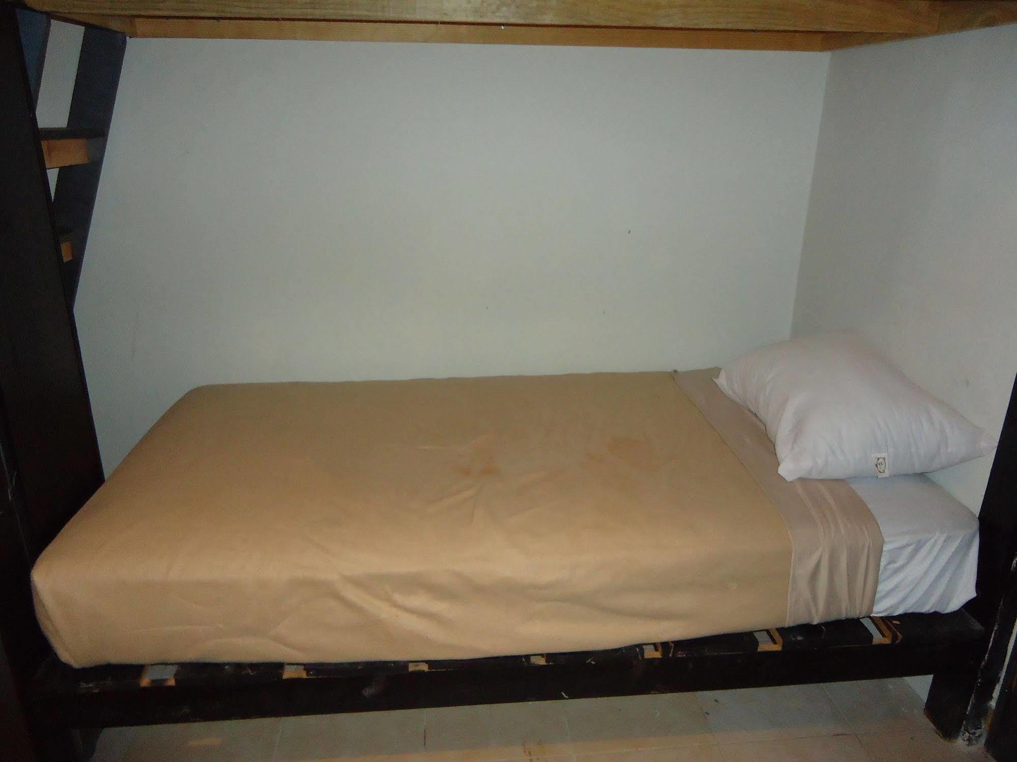 بلايا ديل كارمن Humble Bumble Hostel المظهر الخارجي الصورة