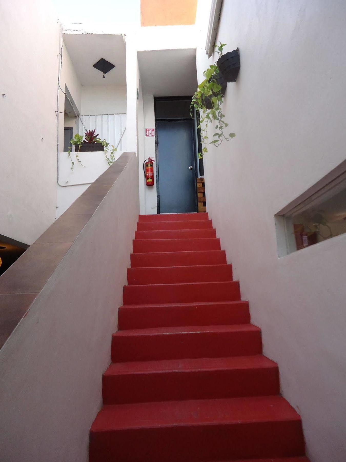 بلايا ديل كارمن Humble Bumble Hostel المظهر الخارجي الصورة