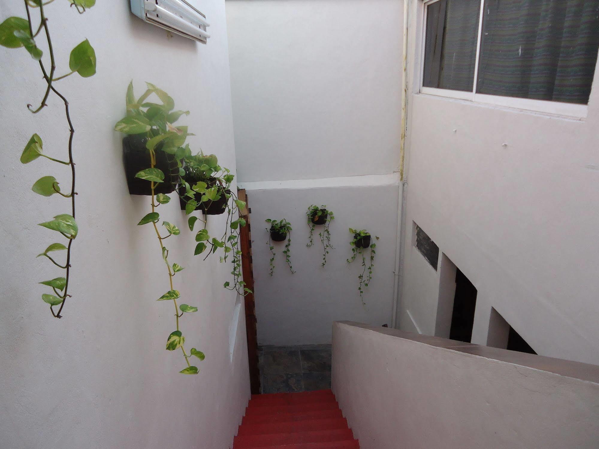 بلايا ديل كارمن Humble Bumble Hostel المظهر الخارجي الصورة